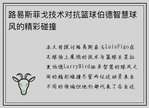 路易斯菲戈技术对抗篮球伯德智慧球风的精彩碰撞